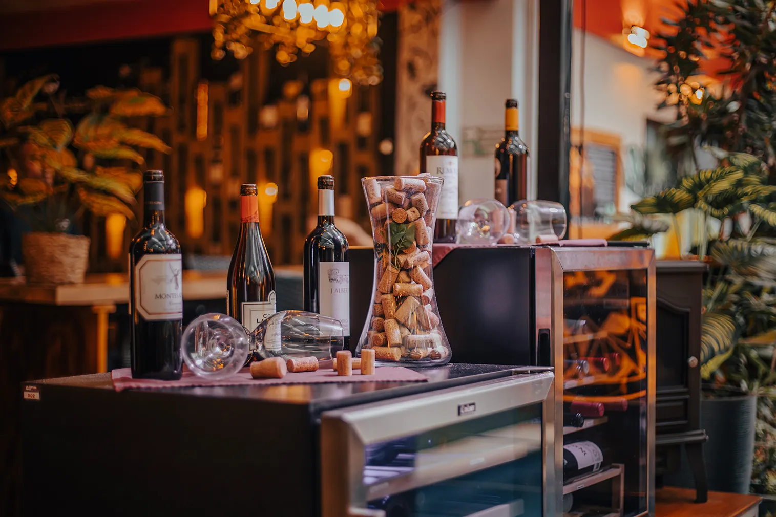 Vinos María Bonita Steak House